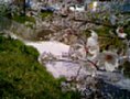 sakura05.jpg