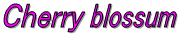 ߏ̉BꂽԌ̖̎ʐ^ł