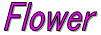 ỎƂ̂̉Ԃ̎ʐ^ł