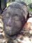thai05.jpg